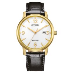Reloj Citizen Eco Drive Pair BM6756-01A